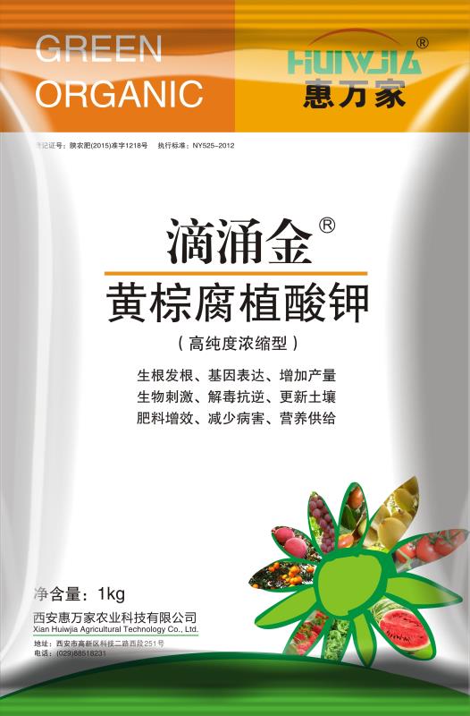 &#26032;&#21033;&#20307;&#32946;