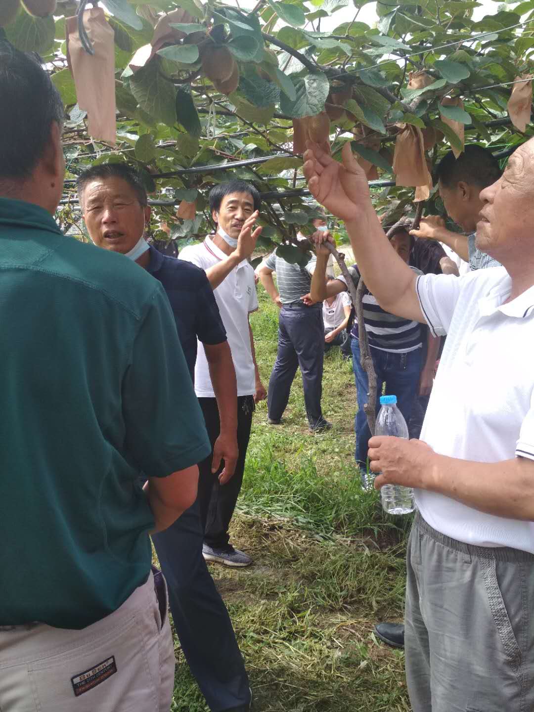 &#26032;&#21033;&#20307;&#32946;